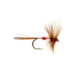 Patriot Fly