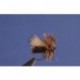 Peacock Caddis