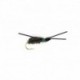 Peacock Kicking Beetle