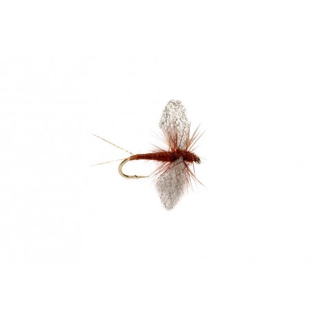 Perfect Wing Spinner Rust