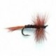 Pheasant Tail