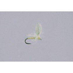 Pmd CDC Parachute