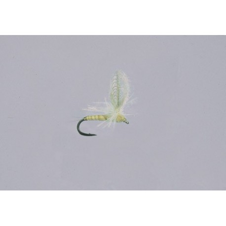Pmd CDC Parachute