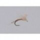 Pmd Ezc Emerger