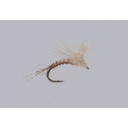 Pmd Ezc Emerger