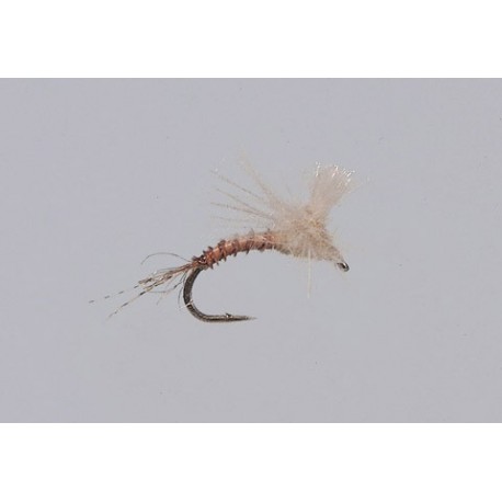 Pmd Ezc Emerger