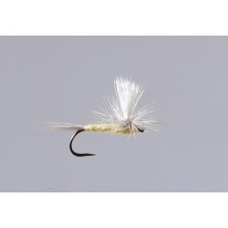 Pmd Parachute