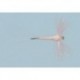 Pmd Sparkle Wing Spinner