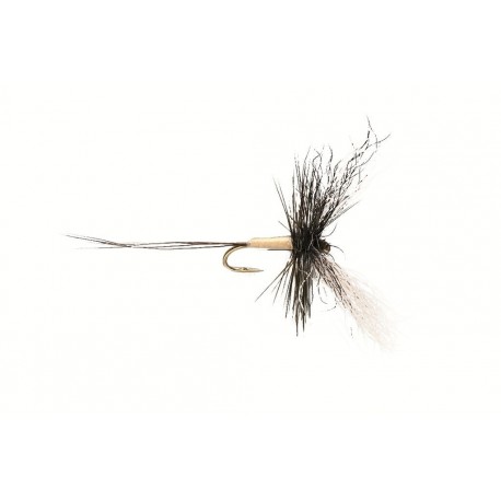 Poly Spinner (Goddard)