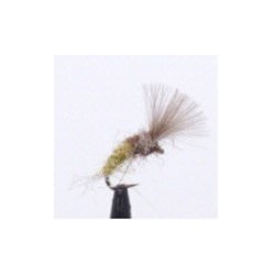 Pop Emerger Trico