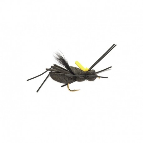 Project Cricket