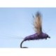 Purple Comparadu