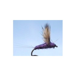 Purple Comparadu