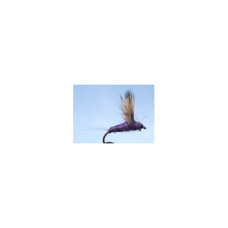 Purple Comparadu