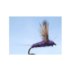 Purple Comparadun