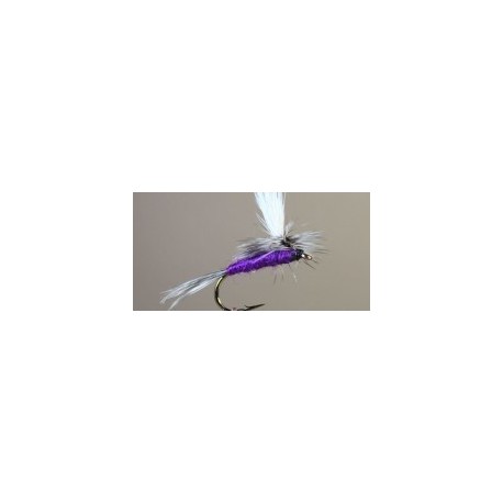 Purple Haze