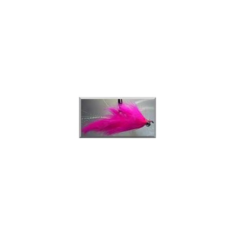 Pink Articulated Leech