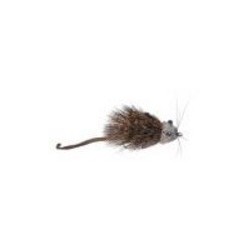 Mouse Rat