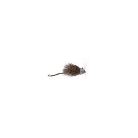 Mouse Rat