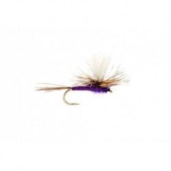 Purple Parachute Adams