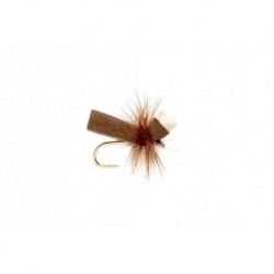 Quick Sght Ant Brown
