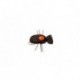 Quick Sight Beetle