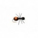 Quick Sight Foam Ant Dry