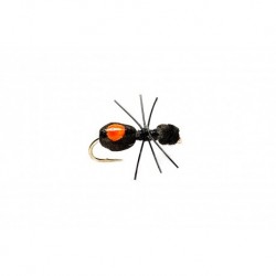 Quick Sight Foam Ant Dry