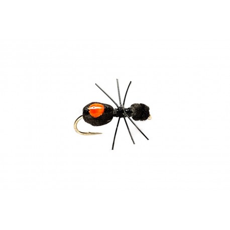 Quick Sight Foam Ant Dry