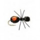 Quick Sight Foam Ant