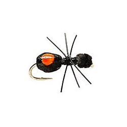 Quick Sight Foam Ant