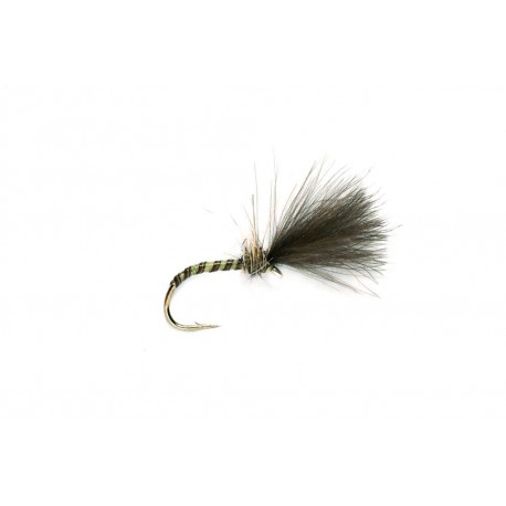 Quill Owl Cul