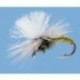 Rainys Blue Damselfly