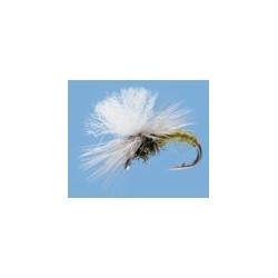 Rainys Blue Damselfly
