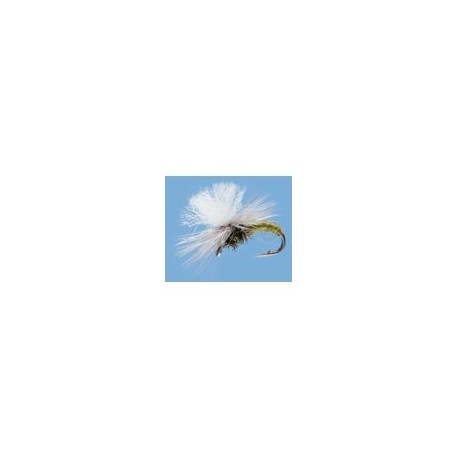 Rainys Blue Damselfly