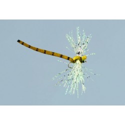 Rainys Olive Damselfly