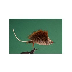 Natural Mouse Rat