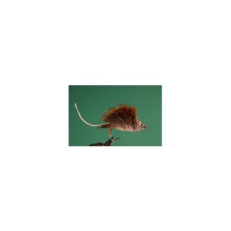 Natural Mouse Rat
