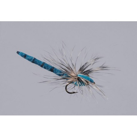 Rainys X Fly Blue Damsel Tb