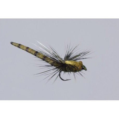 Rainys X Fly Olive Damsel Tb