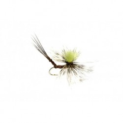 Real Mccoy Ap Spinner Brown