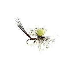 Real Mccoy Ap Spinner