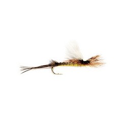 Real Mccoy Muck Belly Hex