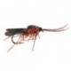 Realistic Brown Caddis