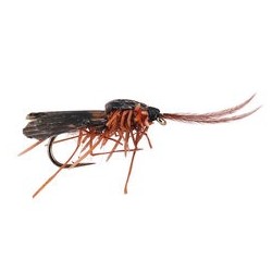 Realistic Brown Caddis