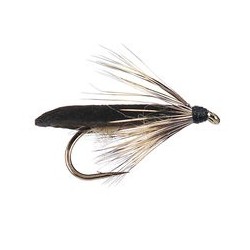 Realistic Light Brown Sege