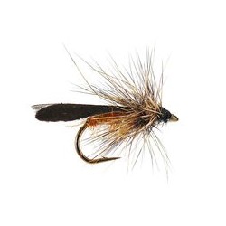 Realistic Orange Body Sedge
