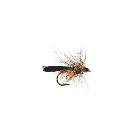 Realistic Orange Body Sedge