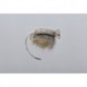 Nicks Cheeky Mouse
