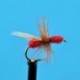 Red Flying Ant
